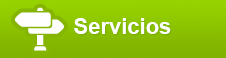 Servicios